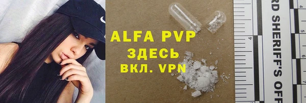стафф Алзамай