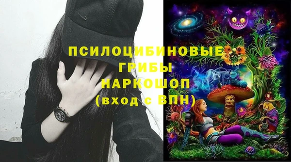 стафф Алзамай