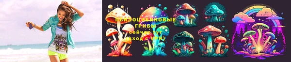стафф Алзамай